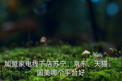 加盟家電線下店蘇寧、京東、天貓、 國美哪個平臺好