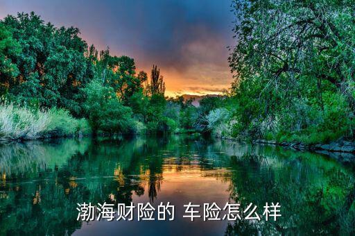 渤海車險(xiǎn)理賠怎么樣,親愛(ài)的，渤海車險(xiǎn)還不錯(cuò)，挺靠譜的