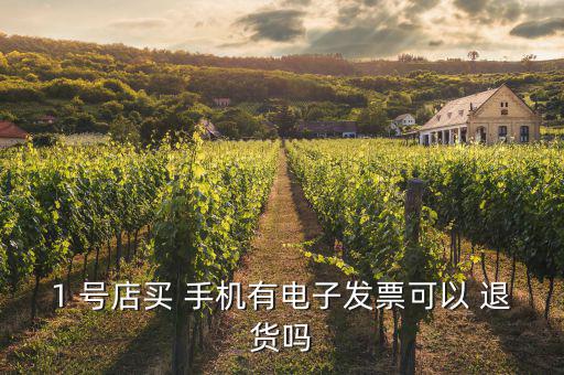 1 號(hào)店買(mǎi) 手機(jī)有電子發(fā)票可以 退貨嗎