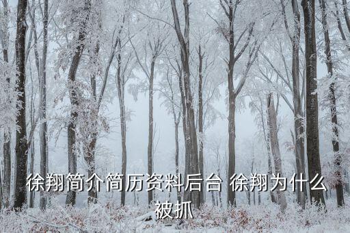 徐翔是怎么回事,徐翔、王偉、犯受賄罪被判入獄五年半
