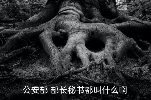 部長(zhǎng)助理應(yīng)該怎么做,網(wǎng)民:不叫秘書(shū)不叫部門領(lǐng)導(dǎo)!