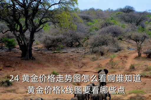 黃金股票怎么看,黃金價(jià)格走勢圖免費(fèi)分析助投資者成功