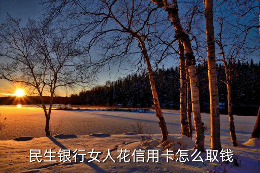 民生銀行怎么取現,民生銀行預借現金收取0.5%手續(xù)費