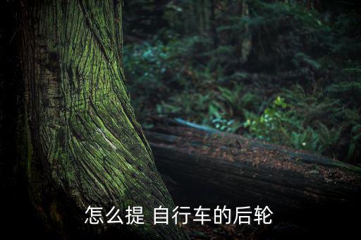 怎么提 自行車(chē)的后輪
