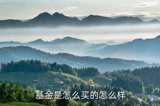 K怎么樣買基金,網(wǎng)銀手續(xù)費(fèi)最高購買基金前請(qǐng)注意什么?