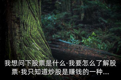 進(jìn)行個(gè)股簡(jiǎn)單說(shuō)明怎么寫,投資股票要學(xué)會(huì)釣魚，學(xué)會(huì)吃魚!