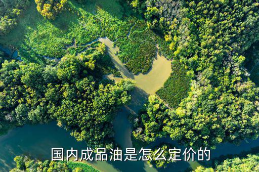 國內柴油價格怎么確定,國內成品油價格每十個工作日調整一次