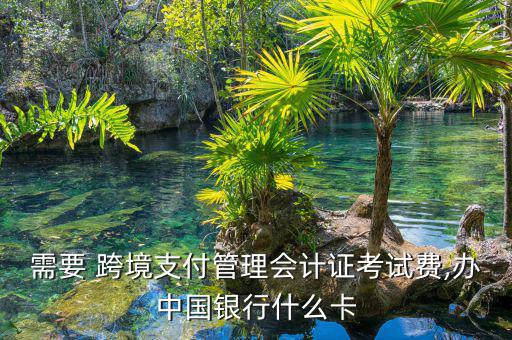需要 跨境支付管理會計(jì)證考試費(fèi),辦中國銀行什么卡