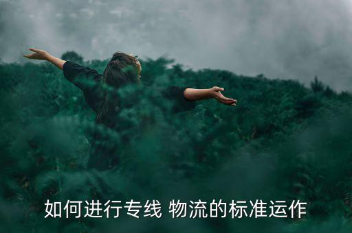 怎么走物流,專(zhuān)線(xiàn)物流優(yōu)點(diǎn)是運(yùn)輸成本低缺點(diǎn)是班次時(shí)間不定