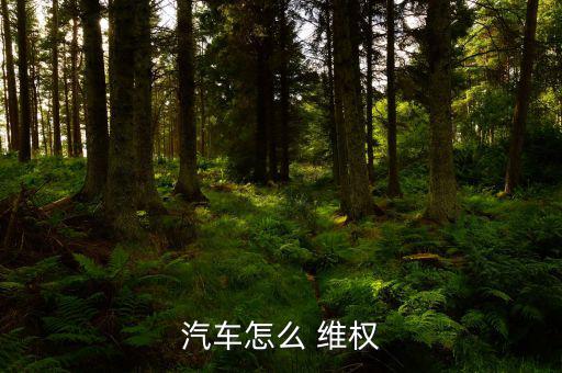 車子維權怎么寫,國內第三方汽車質量投訴平臺車之網(wǎng)正式上線