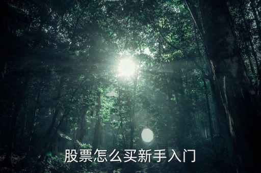 股票怎么買新手入門(mén)