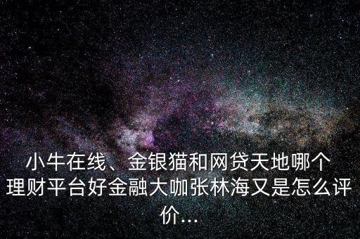  小牛在線、金銀貓和網貸天地哪個 理財平臺好金融大咖張林海又是怎么評價...