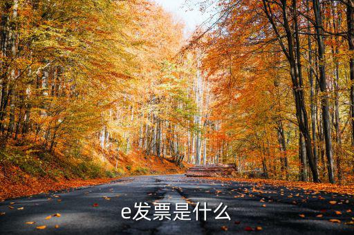 e票寶怎么使用,電子發(fā)票開票頁面出現兩種取票方式