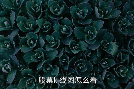 股票怎么看線(xiàn)圖,第一集:從開(kāi)盤(pán)價(jià)到收盤(pán)價(jià)全天無(wú)下影線(xiàn)