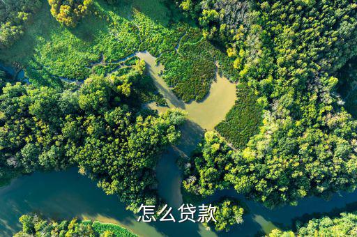 怎么借貸,小曼app-優(yōu)花花貸利率低、放款快、安全等特點(diǎn)