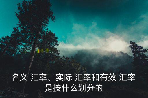名義 匯率、實際 匯率和有效 匯率是按什么劃分的