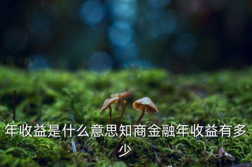資金占用年收益是什么意思，利息支出中有個資金占用費這個是什么意思