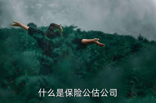 什么是承保公估，保險中的公估是什么概念
