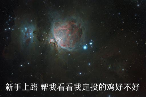 養(yǎng) 雞 定投有什么好處，新手上路 幫我看看我定投的雞好不好