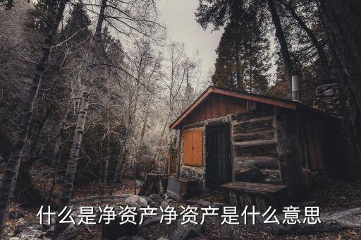 什么是凈資產(chǎn)，什么是凈資產(chǎn)凈資產(chǎn)是什么意思