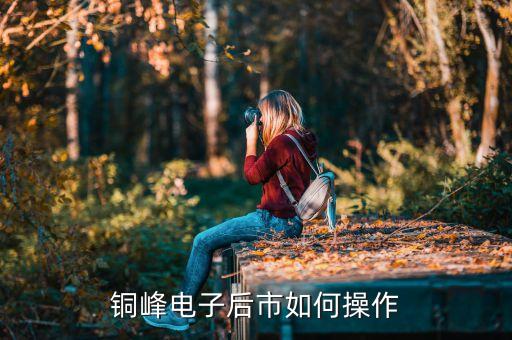 銅鋒電子什么時(shí)候復(fù)牌，想了解銅峰電子在您們當(dāng)?shù)刂械臓顩r如何