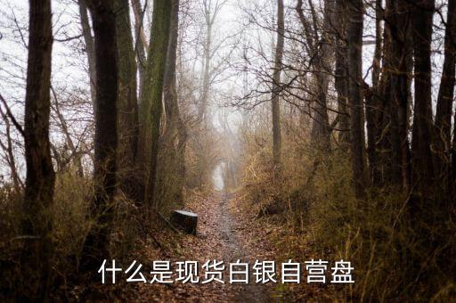 現貨盤是什么，國際盤現貨是什么意思