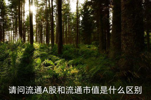 a股流通市值是什么，請(qǐng)問(wèn)流通A股和流通市值是什么區(qū)別