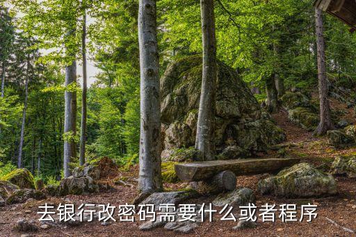 銀行卡改密碼需要什么，改銀行卡密碼要有哪些條件