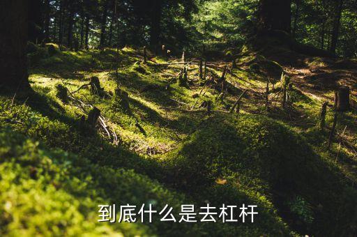 什么是去杠桿去產(chǎn)能，到底什么是去杠桿