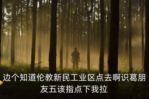 李葛衛(wèi)為什么入新民科技，邊個知道倫教新民工業(yè)區(qū)點去啊識葛朋友五該指點下我拉