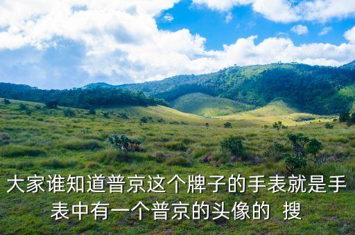 普京皮帶是什么牌子，大家誰(shuí)知道普京這個(gè)牌子的手表就是手表中有一個(gè)普京的頭像的  搜
