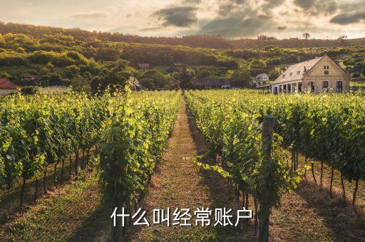 什么是經(jīng)常項(xiàng)目賬戶，經(jīng)常項(xiàng)目賬戶和資本項(xiàng)目賬戶