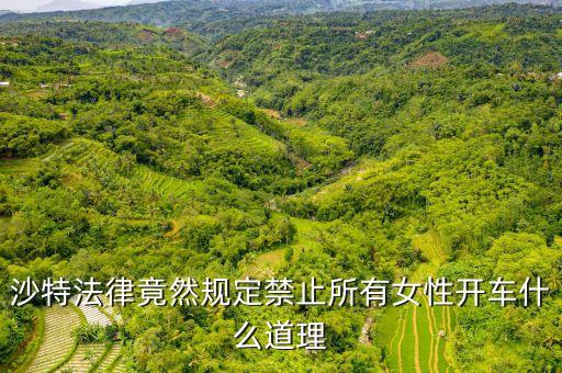 為什么沙特女人不能開車，全球唯一禁止女司機開車的是哪個國家