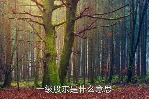 二級股東是什么意思，兩級股權(quán)結(jié)構(gòu)