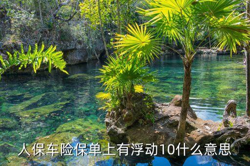 人保中保險(xiǎn)費(fèi)率浮動(dòng)是什么，如圖我買(mǎi)的人保車險(xiǎn)費(fèi)率浮動(dòng)一欄顯示的幾個(gè)負(fù)數(shù)是什么意思