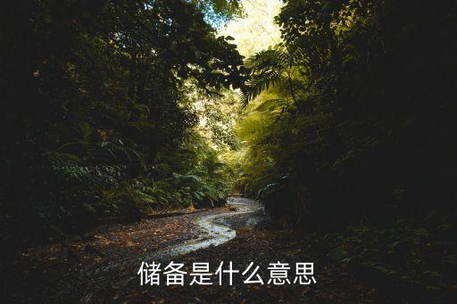 現(xiàn)金儲(chǔ)備是什么意思，現(xiàn)金儲(chǔ)備是現(xiàn)金嗎比如蘋果現(xiàn)金儲(chǔ)備2600億美金
