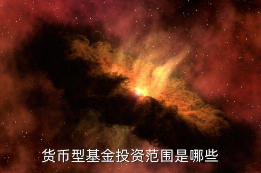 貨幣基金主要投資什么，貨幣型基金投資范圍是哪些