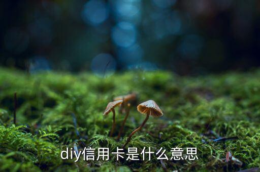 diy信用卡是什么意思，D1y信用卡是什么意思