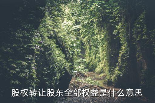 什么是全權(quán)益公司，股權(quán)轉(zhuǎn)讓股東全部權(quán)益是什么意思