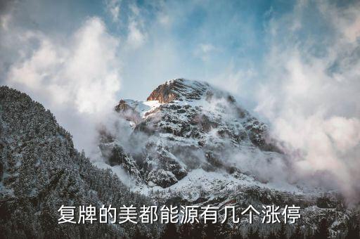 美都能源為什么停牌了，美都能源臨時(shí)停牌利好還是壞