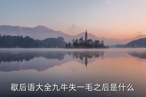 九牛失一毛的下預(yù)示什么，九牛失一毛