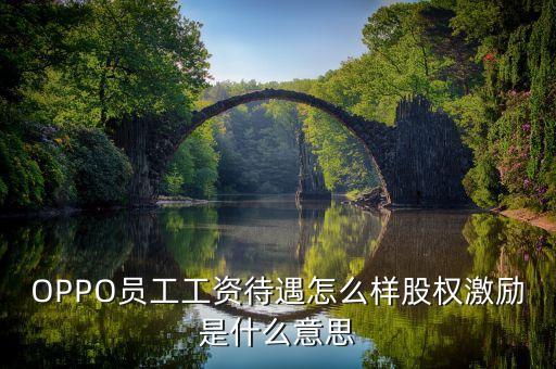 全員持股什么意思，OPPO員工工資待遇怎么樣股權(quán)激勵(lì)是什么意思