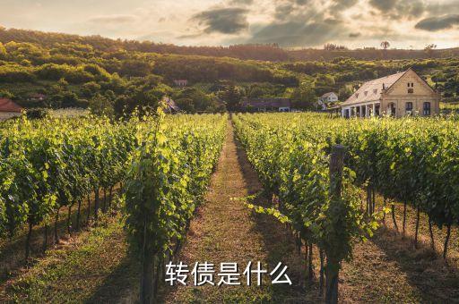 浙能轉債是什么，浙能電力轉債贖回兌付摘牌是利好還是利空