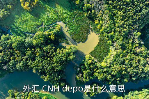 外匯de30是什么，新手一枚想知道TigerWit老虎外匯中的us30是什么意思