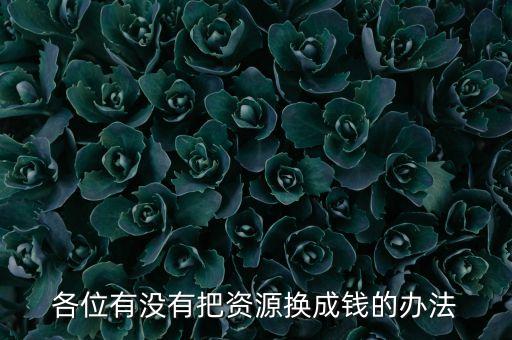 通過什么將資源轉化為財富，各位有沒有把資源換成錢的辦法