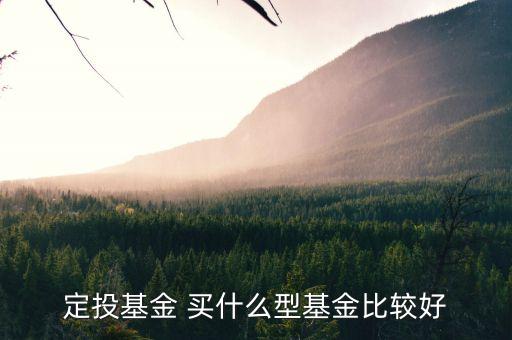 定投基金買什么最好，定投什么基金好