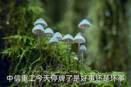 中信重工什么時候復牌，中信重工今天停牌了是好事還是壞事