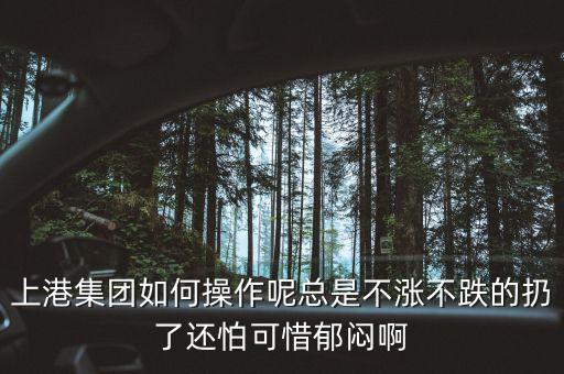 上港集團(tuán)什么級(jí)別，上港集團(tuán)振東集裝箱碼頭分公司的介紹