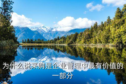 為什么說采購(gòu)在企業(yè)中具有重要的地位和作用，為什么說采購(gòu)是企業(yè)管理中最有價(jià)值的一部分