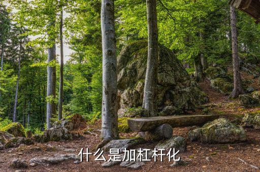 加杠桿化是什么意思，什么是加杠桿化